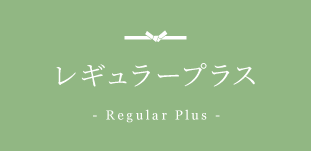 レギュラープラスコース